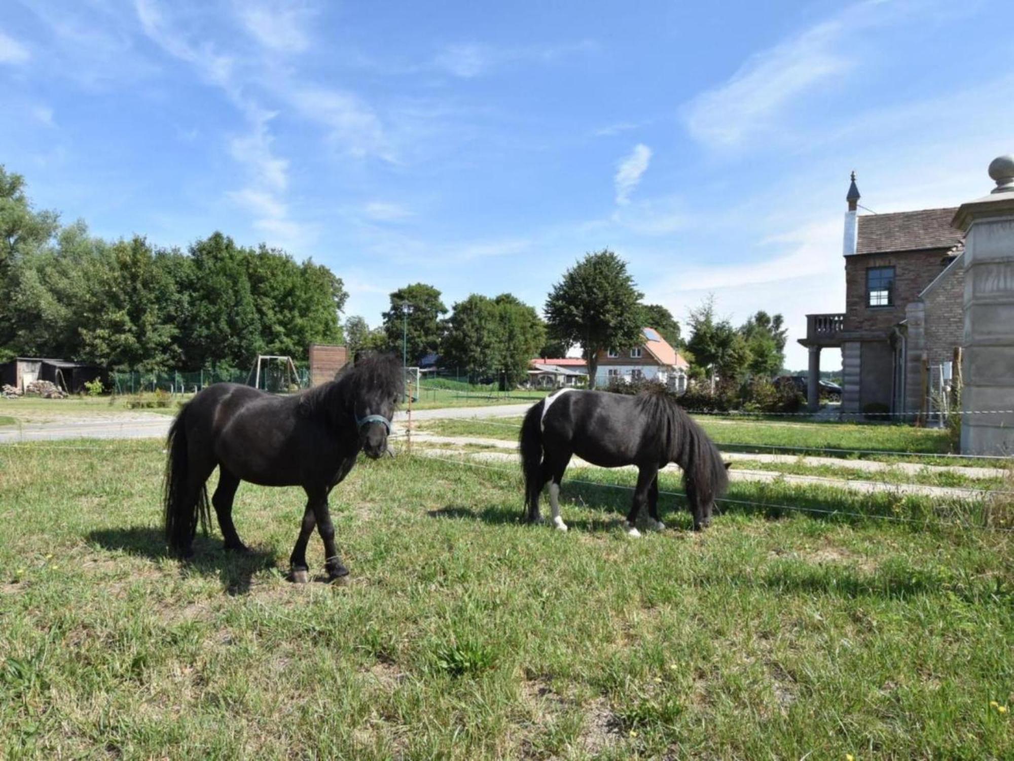 Gutshofblick Xl Apartment